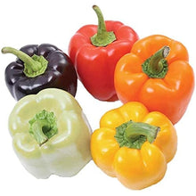 Rainbow Bell Pepper Seeds