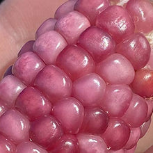 Neon Pink Popcorn Seeds