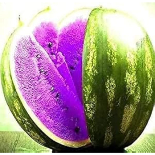 Violet Watermelon Seeds