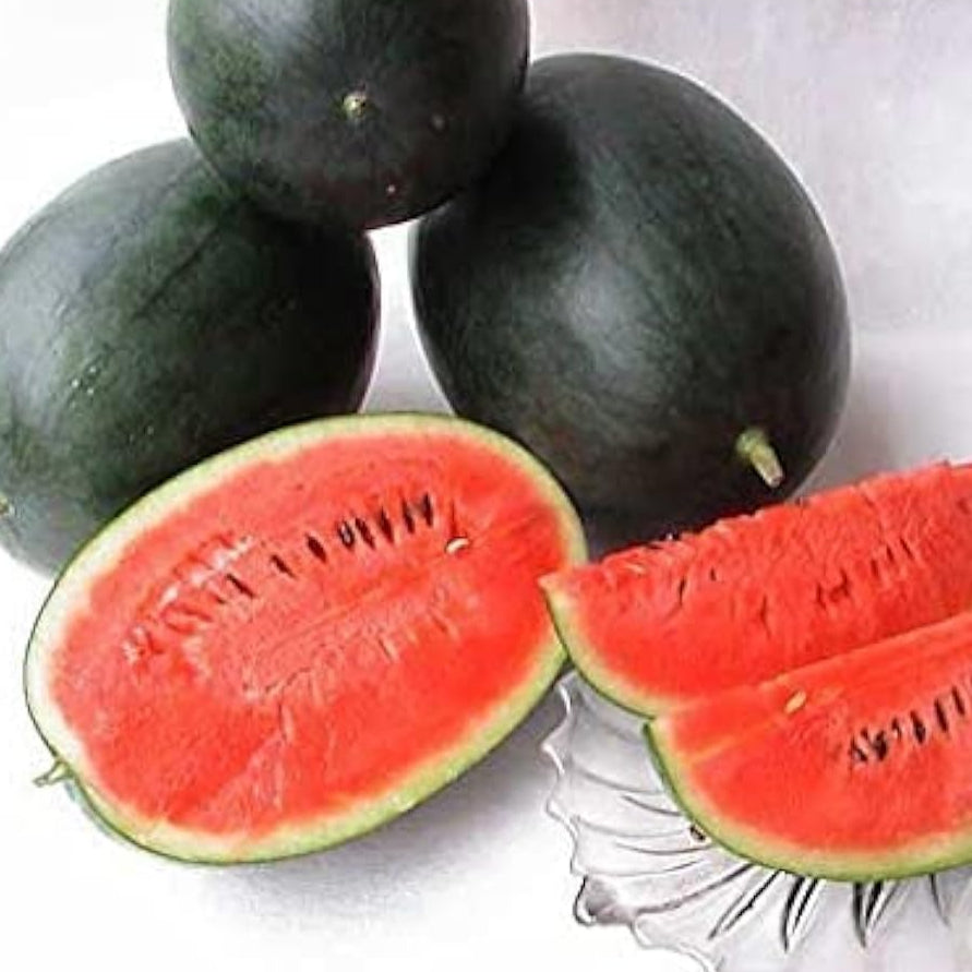 Densuke Watermelon Seeds