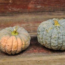 Black Futsu Squash Seeds