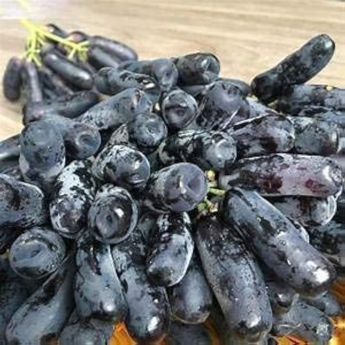 Black Finger Grape Seeds – up to 50%
