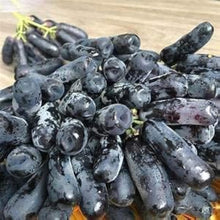 Black Finger Grape Seeds