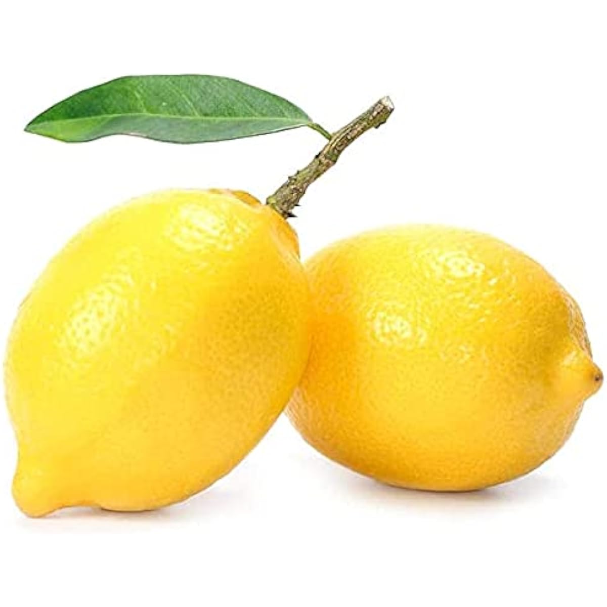 Lemon Tree Seeds up to 50%