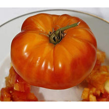 Rainbow Giant Tomato Seeds