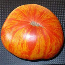 Rainbow Giant Tomato Seeds