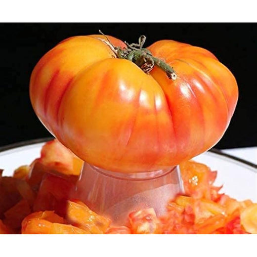 Rainbow Giant Tomato Seeds