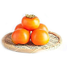 Japanese Persimmon Seeds