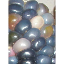 Glass Gem Corn Seeds