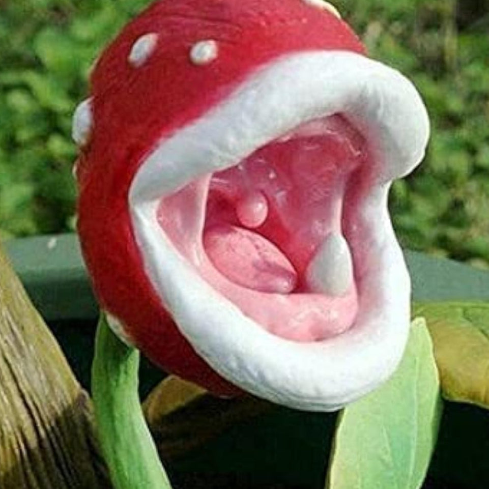 Enchantress Carnivorous Plant Seeds