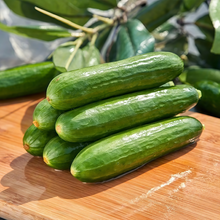 Green Citrullus Seeds