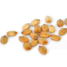 Bitter Melon Seeds