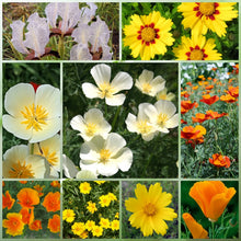 Moisture Resistant Wildflower Mix