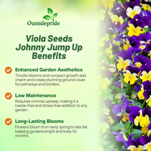 Violet Flower Seeds