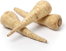 Dutch Hamburg Parsley Seeds