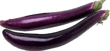 Hybrid Eggplant Seeds