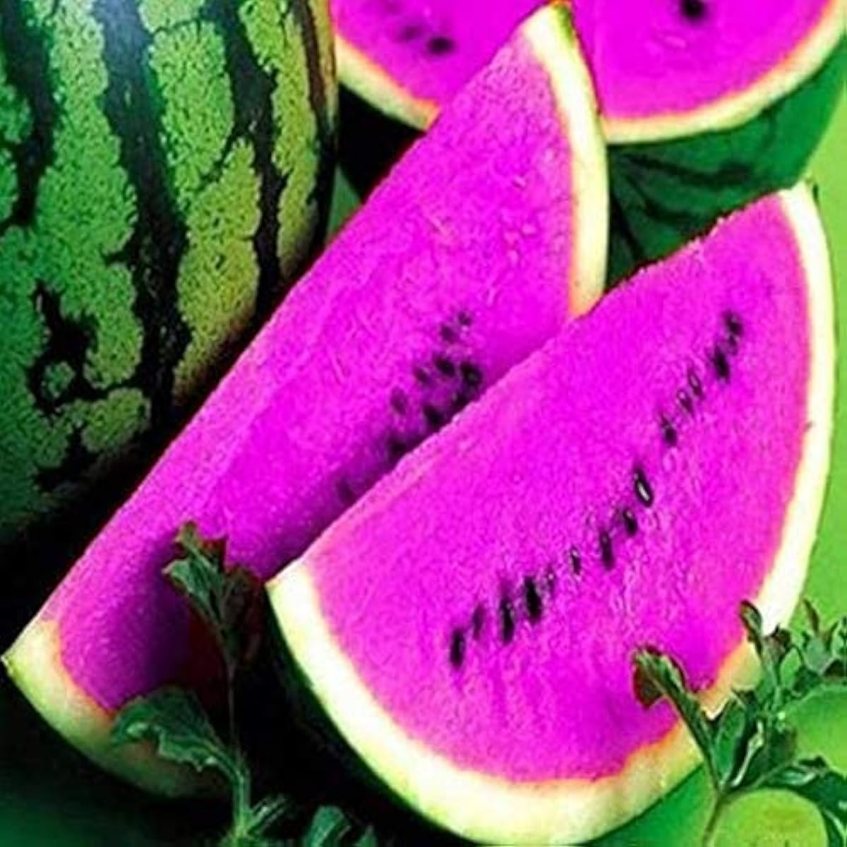 Blue Watermelon Seeds up to 50%