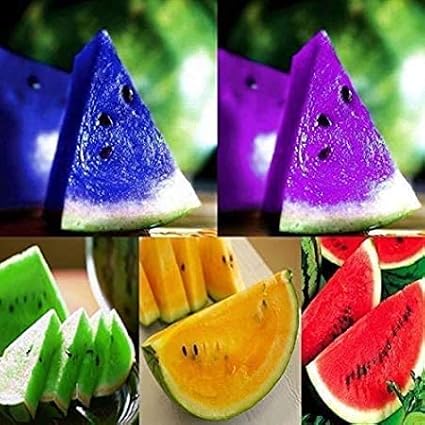 Yellow Watermelon Seeds