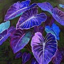 Blue Caladium Flower Seeds