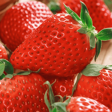 Strawberry Seeds