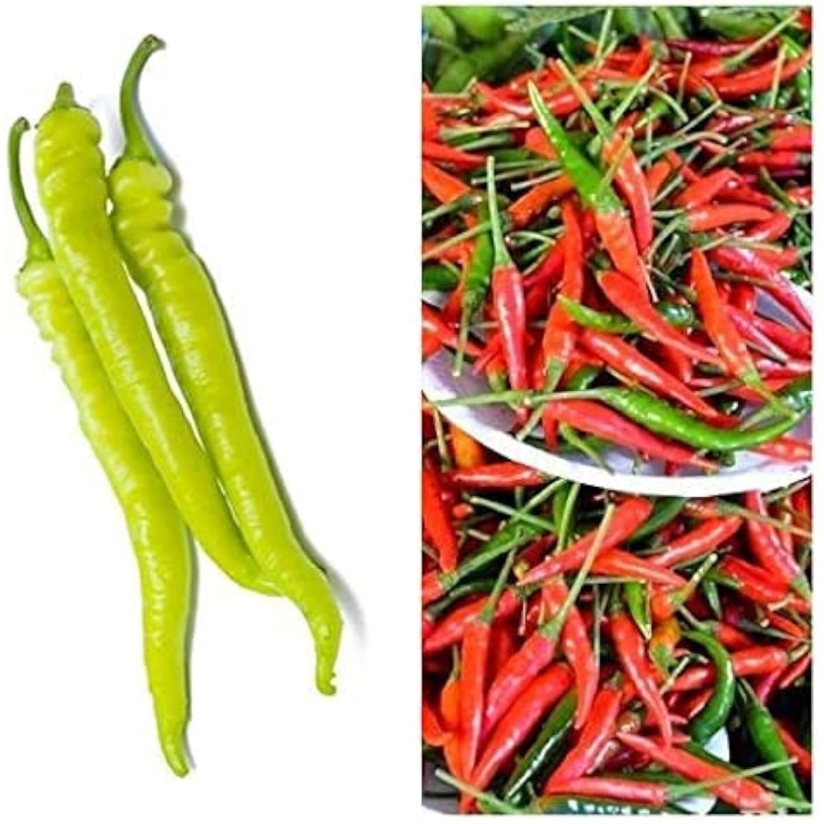 Philippine Hot Pepper Seeds up to 50%