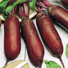 Rival Beetroot Seeds