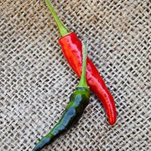 Black Cobra Pepper Seeds