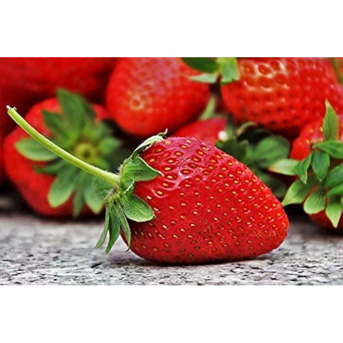Strawberry Plant Seeds up to 50%