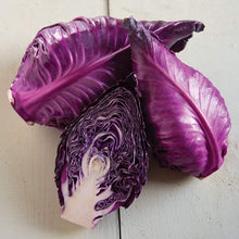 Red Kalibos Cabbage Seeds
