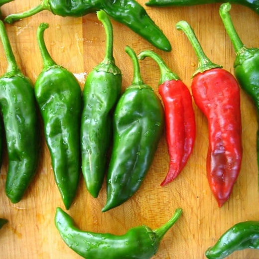 Chimayo Chile Pepper Seeds