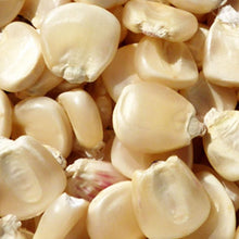 Hickory King Corn Seeds