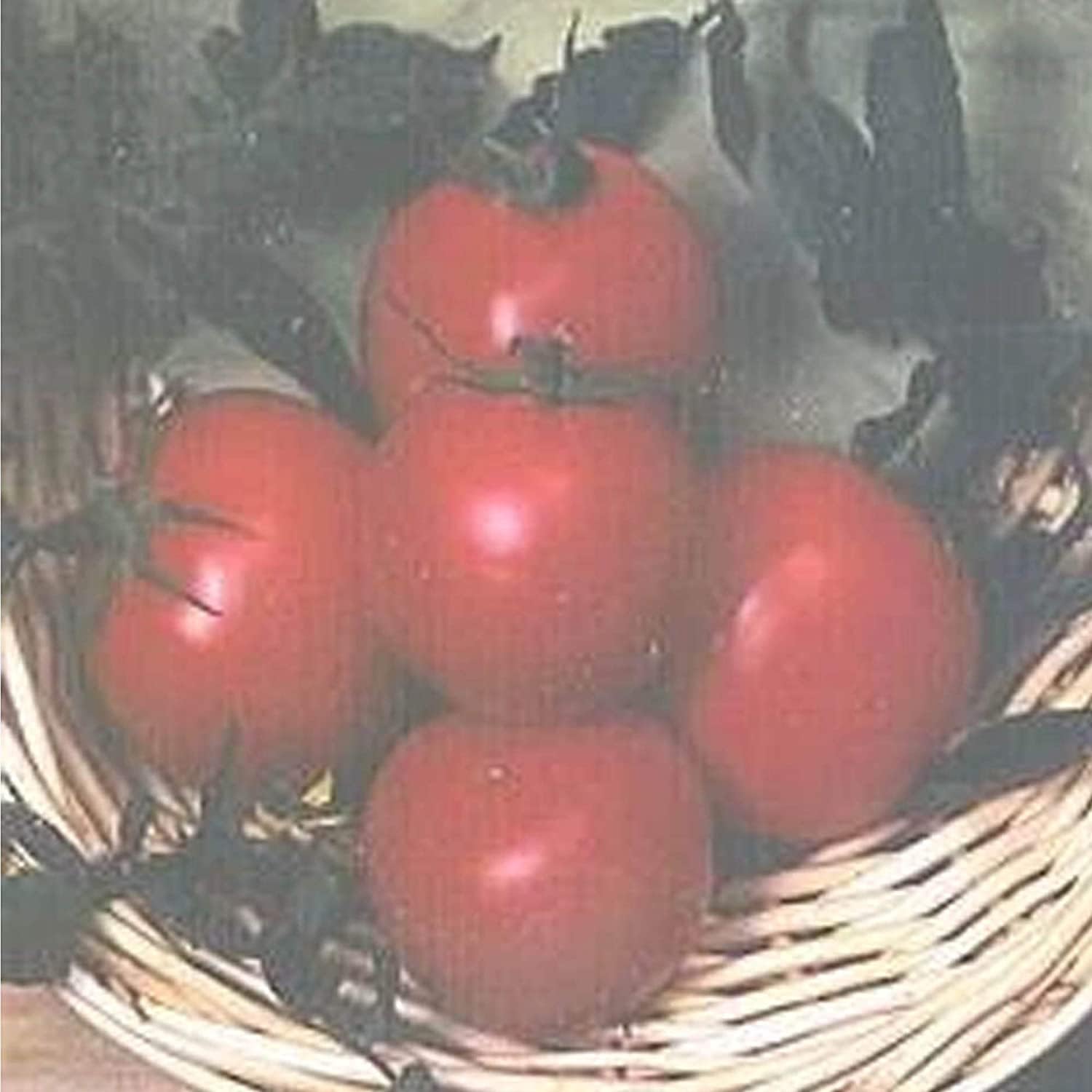 Marion Tomato Seeds  up to 50%