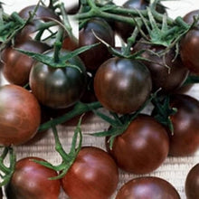 Black Early Tomato Seeds