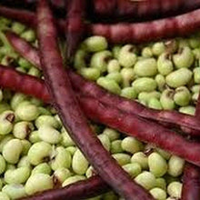 Pinkeye Purple Hull Cowpea Seeds