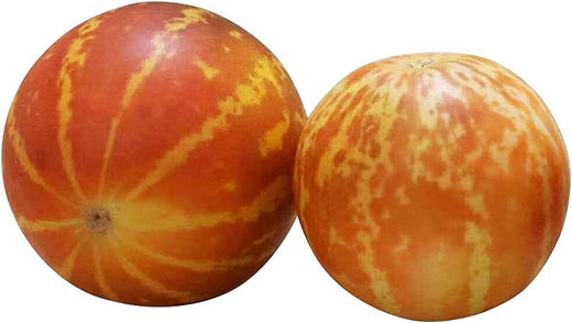 Tigger Melon Seeds