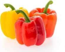 Rainbow Bell Pepper Seeds