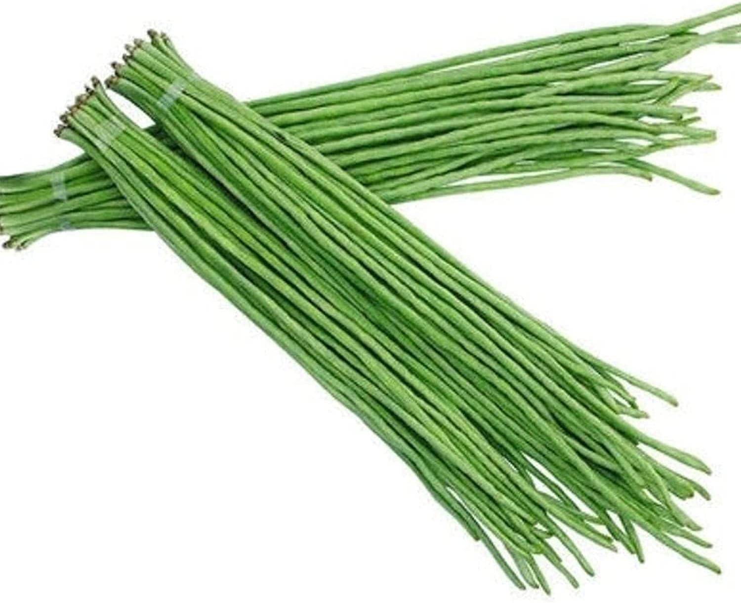 Snake/Yard-Long Asparagus Pole Bean Seeds – Heirloom & Non-GMO | up to 50%
