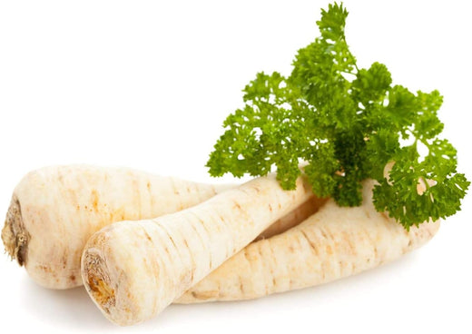 Dutch Hamburg Parsley Seeds