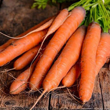 Orange Carrot Seeds