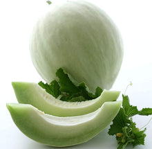 Honeydew Melon Seeds - Green