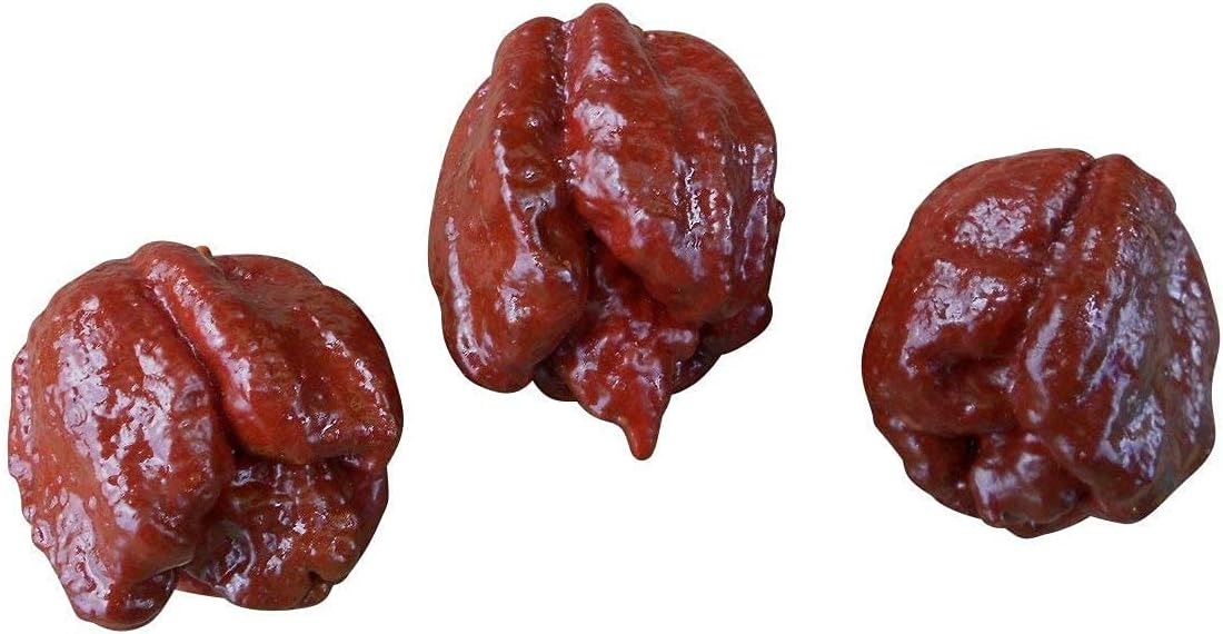 Chocolate Moruga Trinidad Scorpion Heirloom Pepper Seeds – up to 50%