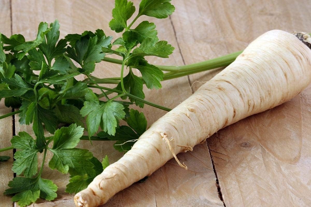Dutch Hamburg Parsley Seeds up to 50%