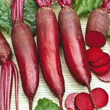 Rival Beetroot Seeds