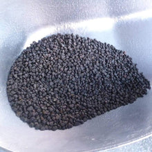 Petunia Seeds