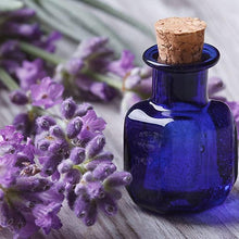 English Lavender Herb Seeds