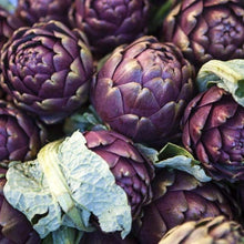 Purple Romagna Artichoke Seeds