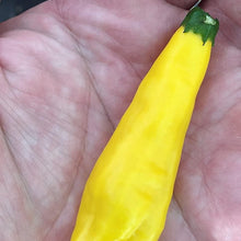 Aji Lemon Drop Pepper Seeds