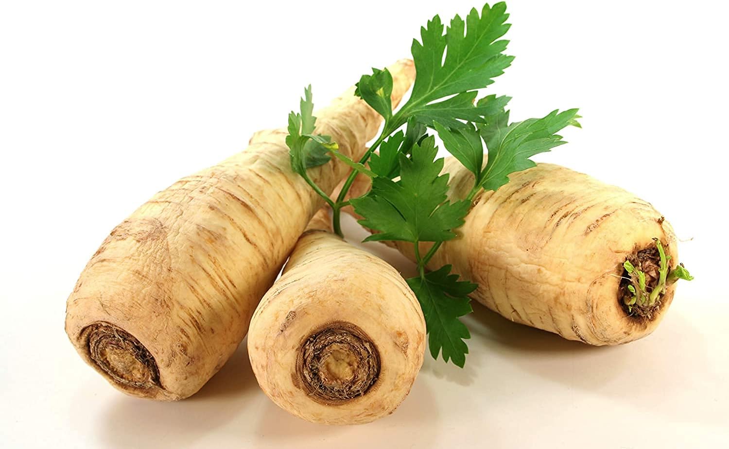 Dutch Hamburg Parsley Seeds up to 50%