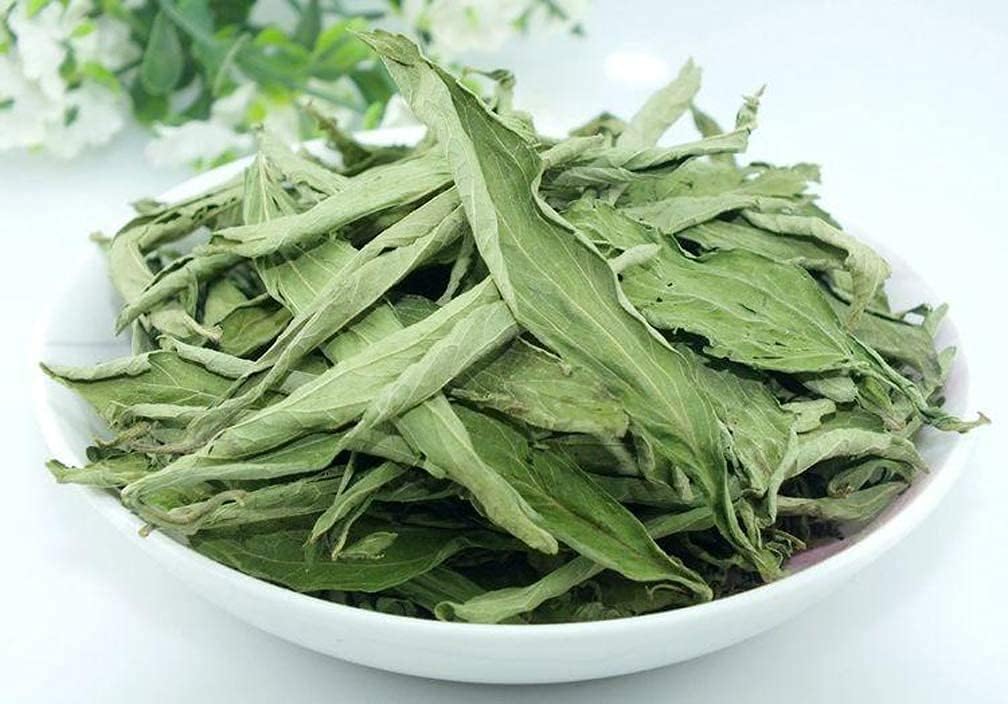 Stevia Rebaudiana Seeds - Larger Packet High Germination 6000-120000 Onsaleseeds