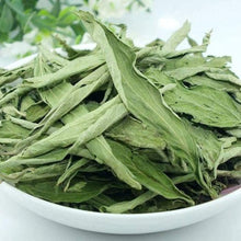 Stevia Seeds